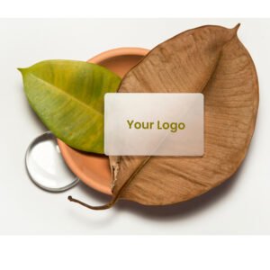 SMART TRANSPARENT CARD